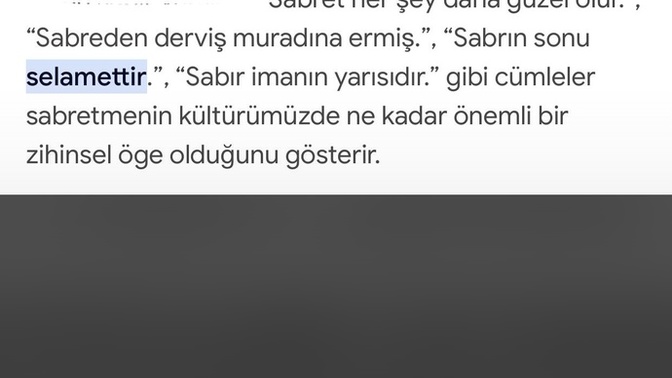 Birine Sabır göstermediğiniz için pişman oldunuzmu?