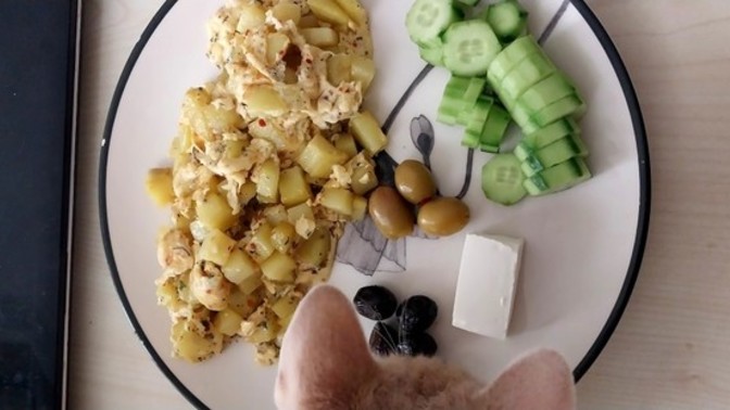 Bugün kahvaltı tabağınız da neler vardı 😋🤩🥹?