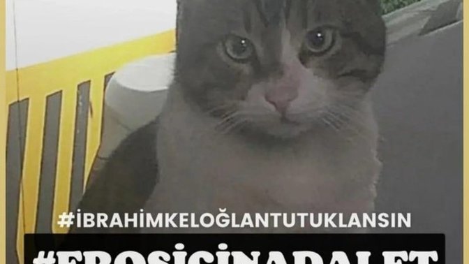 Eros için adalet istiyoruz, ama serbest bıraktılar erosu öldüreni, bu adalet mi?