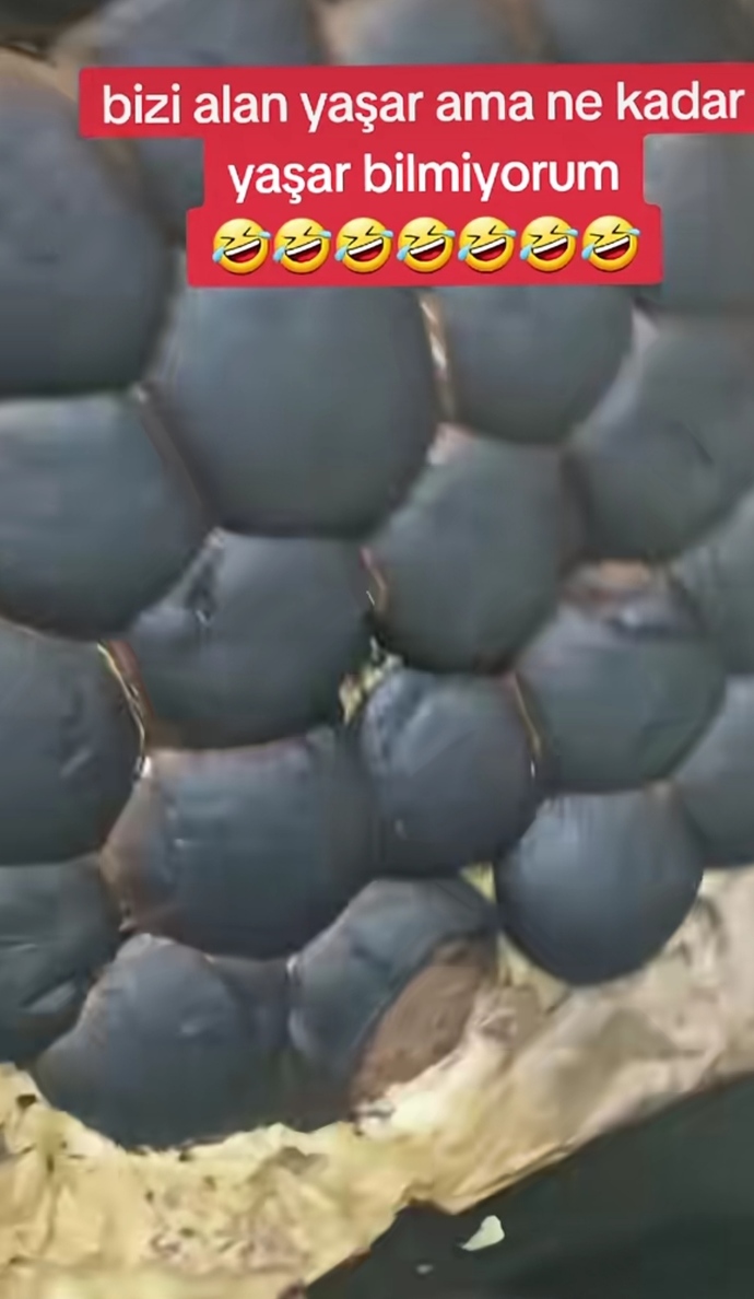 Kakaolu kuru pasta yaptım da sizce biraz daha pişmeli mi, yoksa tam kıvamında mı?