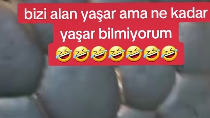 Kakaolu kuru pasta yaptım da sizce biraz daha pişmeli mi, yoksa tam kıvamında mı?