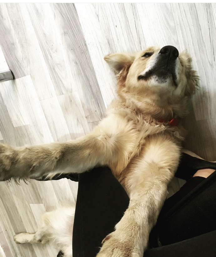 Bu manyakla coşmak bu aralar en sık paşamla takılıyoruz🤣