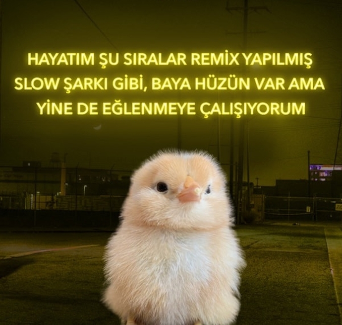 Hayatınız bir şarkı olsaydı bu hangi şarkı olurdu?