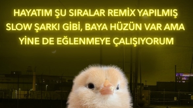 Hayatınız bir şarkı olsaydı bu hangi şarkı olurdu?