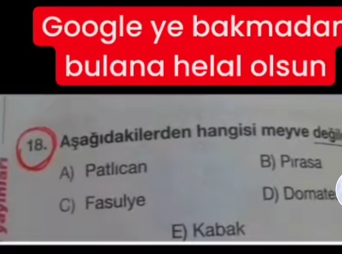 Aşağıdakilerden hangisi meyve değildir 😂?