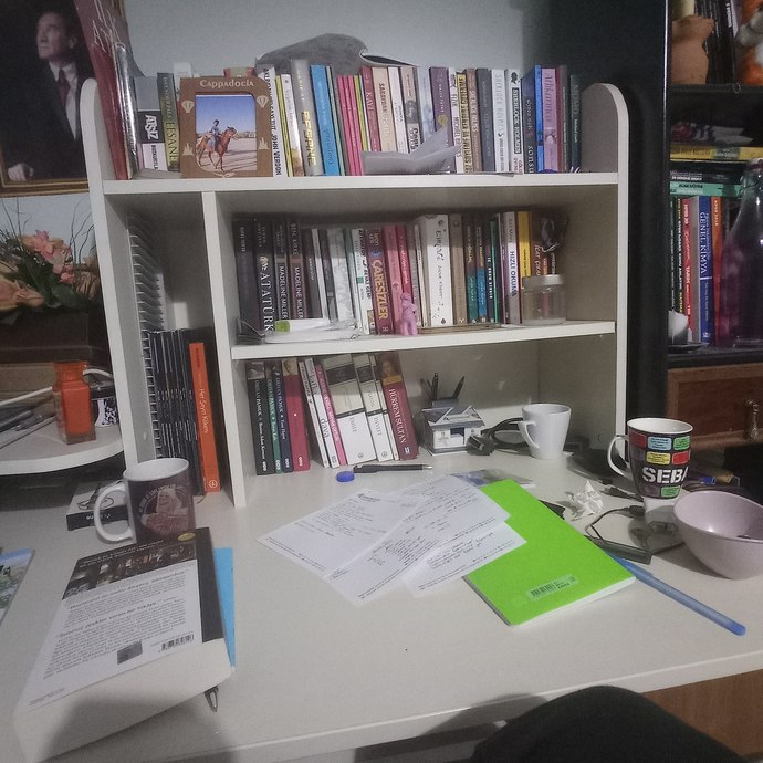 Ayda kaç kitap okuyorsunuz?