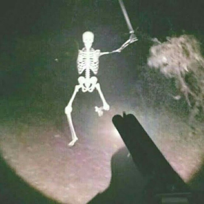 Gece karşınıza böyle bir şey çıksa naparsınız?