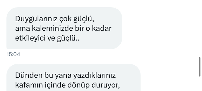 Mesajları yorumlar mısınız sizce benden hoşlanıyor mu yoksa sadece minnettar mı?