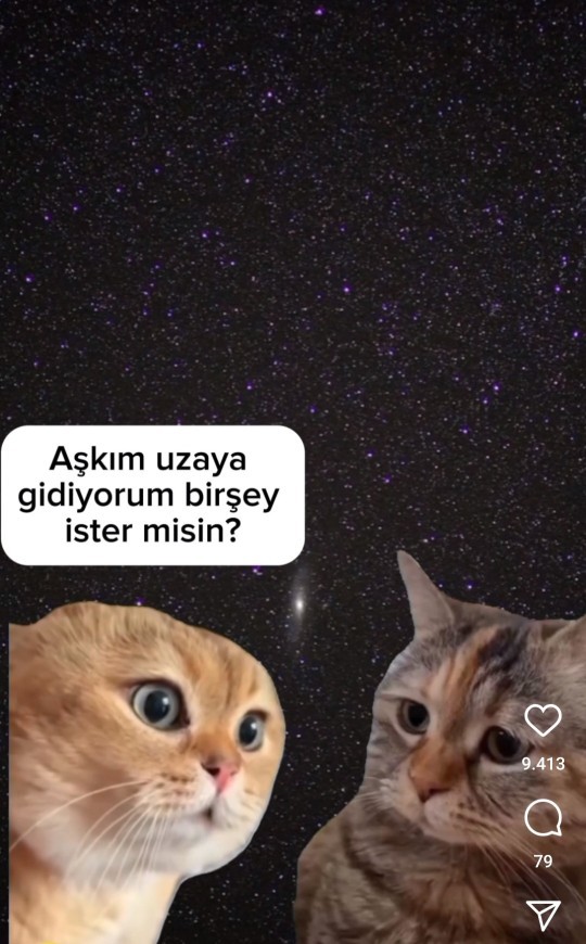 Instagram keşfetinizi bırakmayan bir şey var mı?