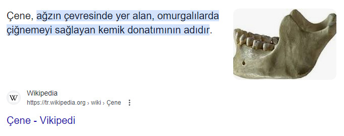 Kadınların en büyük gücü/özelliği nedir?