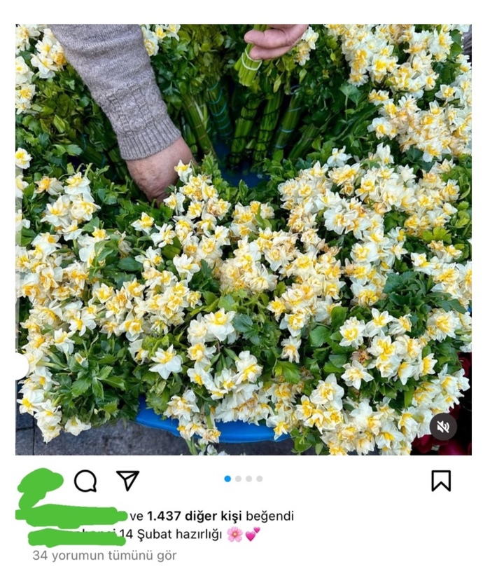 Sevgililer gününde çiçekli instagram paylaşımı yapmak “ benim de sevgilim var” demek midir?