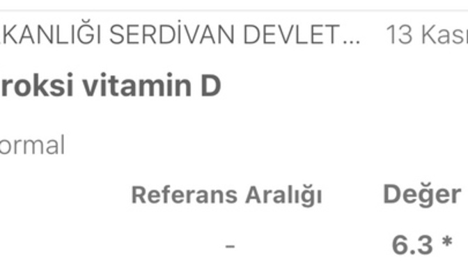 D vitamini nasıl yükselir?