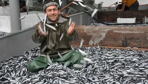 Abaza olmayan erkekler cok hoşuna gidiyor ilgimi cekiyor normal mi?