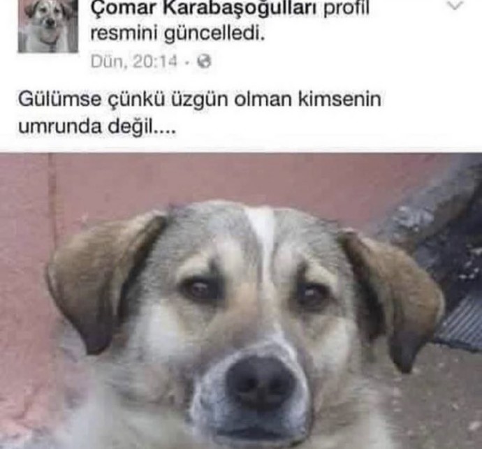 Bu saatte uyuyan erkek hakkında ne düşünürsünüz?