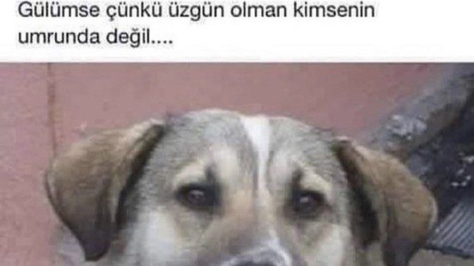 Bu saatte uyuyan erkek hakkında ne düşünürsünüz?