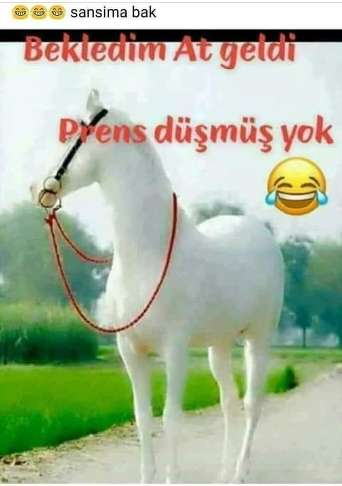Kaldırın şu cenazeyi şurdan pls ☀️