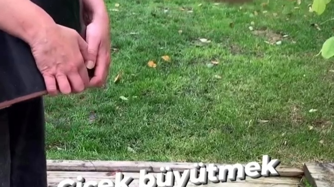 Elinize bir saksı ve toprak verseydim hangi çiçeği ekmek isterdiniz ?