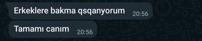 Mesajlaşırken yazım hatası yapan karşı cinsten soğur musunuz?