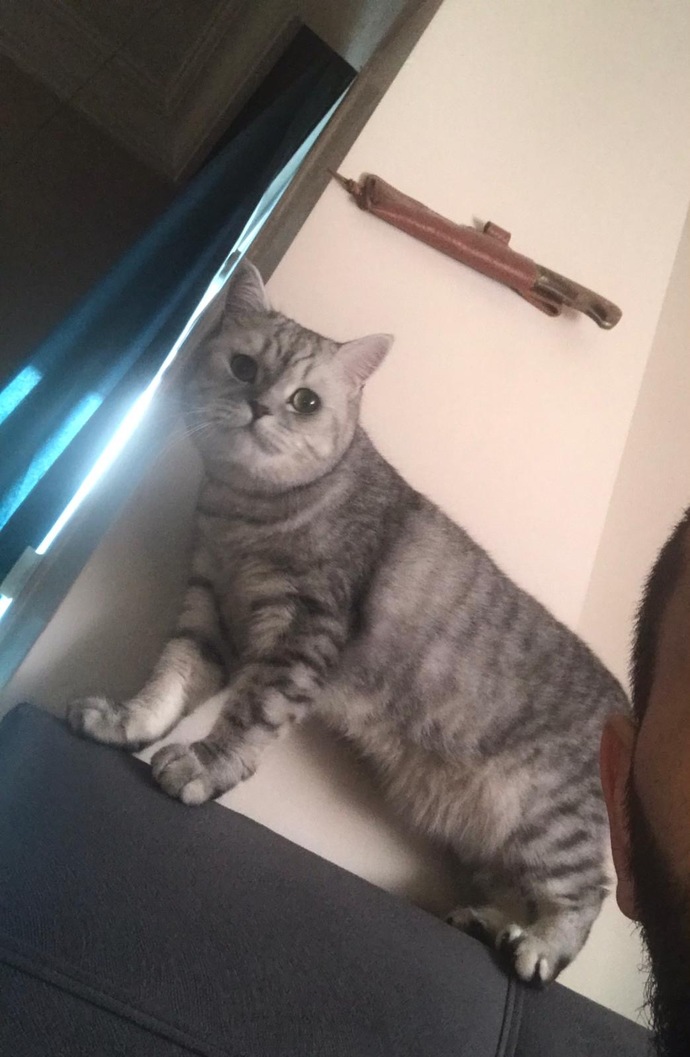 Bir iş yaparken dikizlenmek sizi rahatsız eder mi?