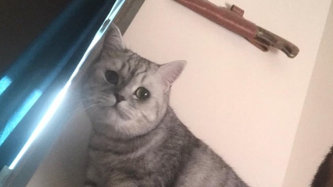 Bir iş yaparken dikizlenmek sizi rahatsız eder mi?