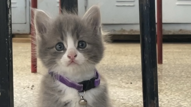 Yediğiniz en son şey bunun adı olsaydı, ismi ne olurdu?