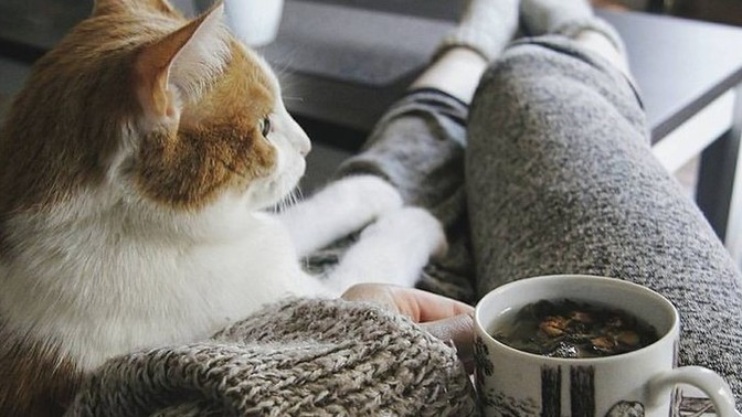 Her ne olursa olsun uyumlu biri misiniz dediği dedik inatçı biri misiniz?
