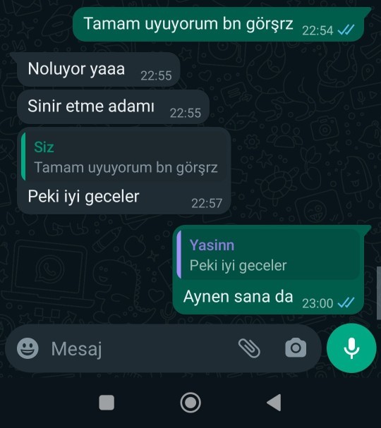 Konuşmaları okuyup söyler misiniz, sorun bende mi?