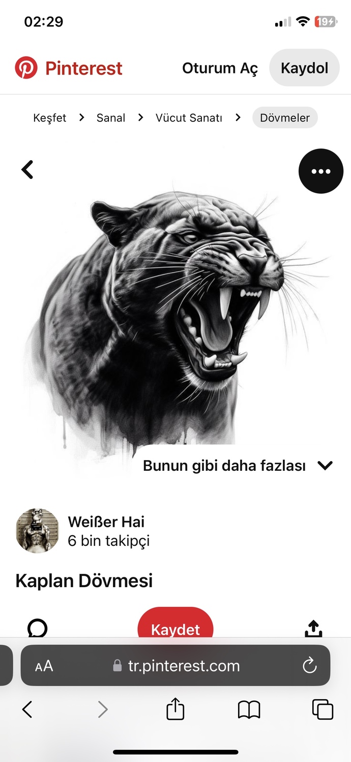 koluma omzuma kurt dövmesi yada kartal dövmesi yaptırmak istiyorum yardımcı olurmusunuz?