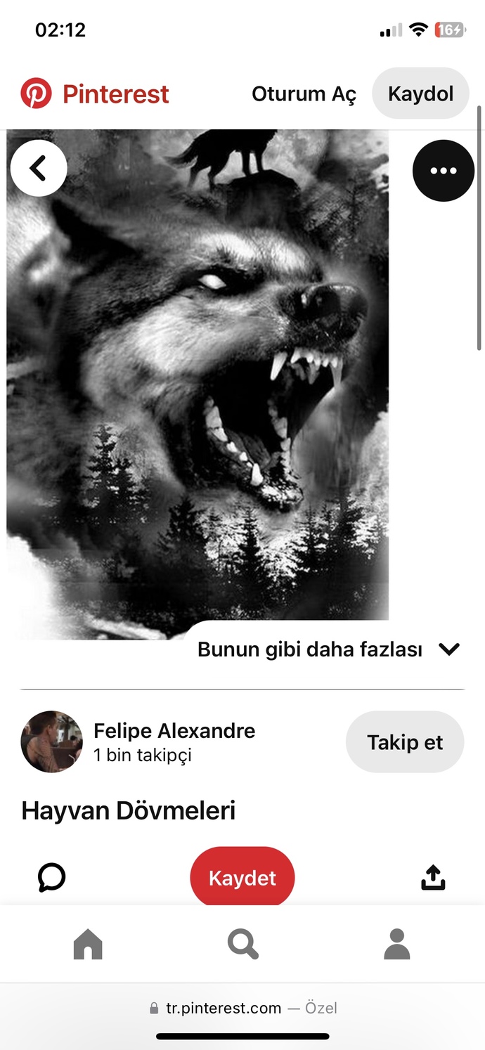 koluma omzuma kurt dövmesi yada kartal dövmesi yaptırmak istiyorum yardımcı olurmusunuz?