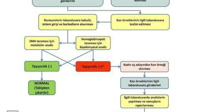 Evlenmeden çift olarak SMA testi yaptıracak mısınız?