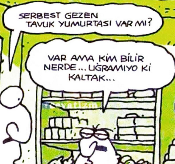 Aşk hayatınız ne alemde?