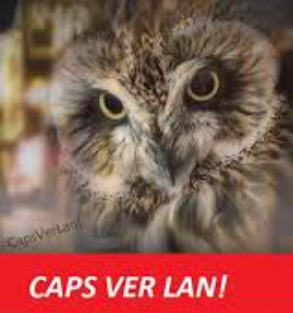 Benim gibi cirkin ve hic sevilmemis biri var mıdır?