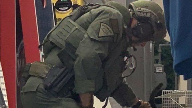 Sizden İyi polis mi olur kötü polis mi, Söyleyelim mi?