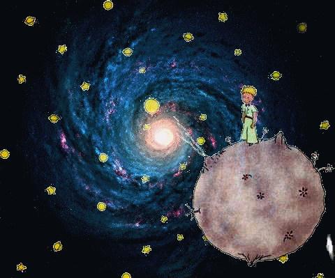 ✨