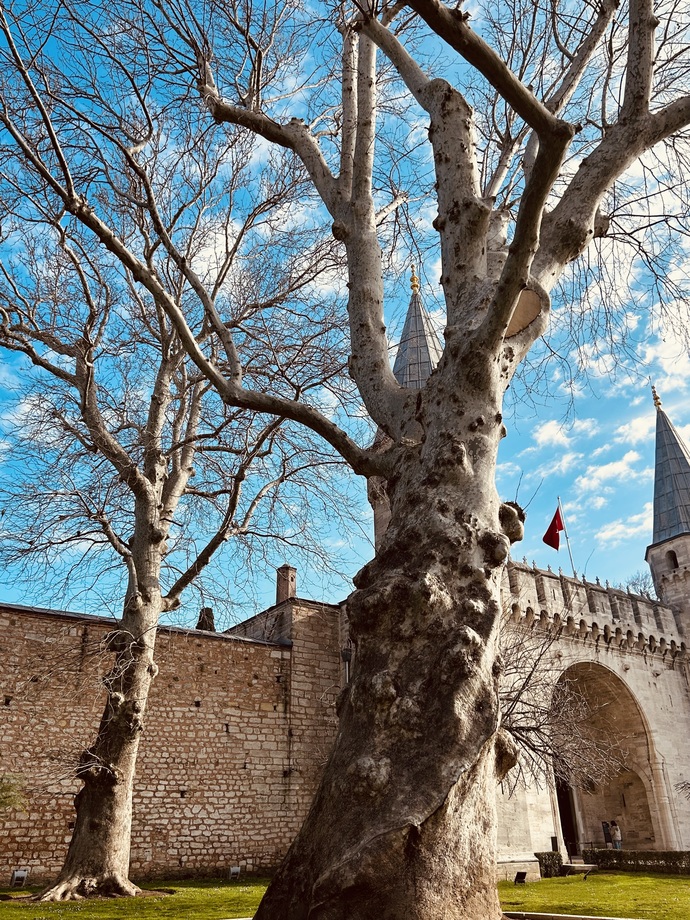 Tarihte kalma, tarihle kal…