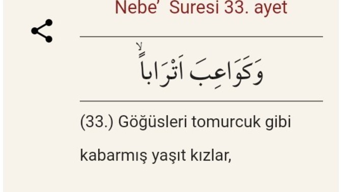 Bu ayetler hakkında ne düşünüyorsunuz?