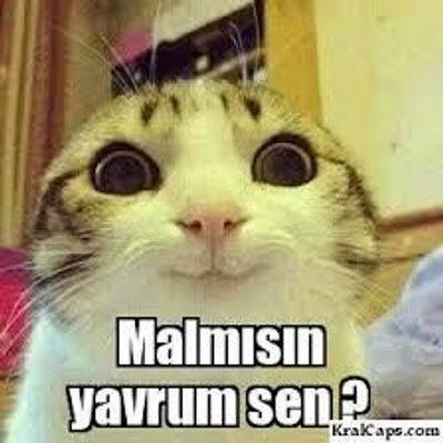 Konuştuğum çocuk uzun boylu diye konuşmayı kestim, boy farkı önemli mi?