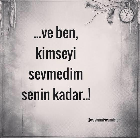 Senin kadar kimseyi sevmedim dediğiniz biri var mı?