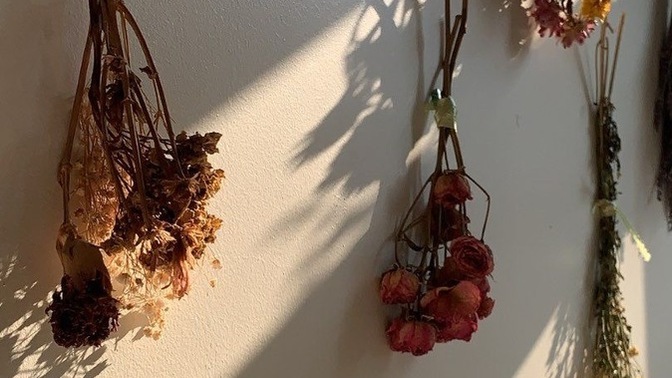 💐Kurutulmuş çiçeklerin eve negatif enerji verdiği söyleniyor. Sizce bu doğru mu?