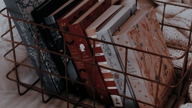 Hangi konuda kitap okumayı tercih edersin?