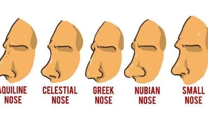 Sizin burun şekliniz hangisi?