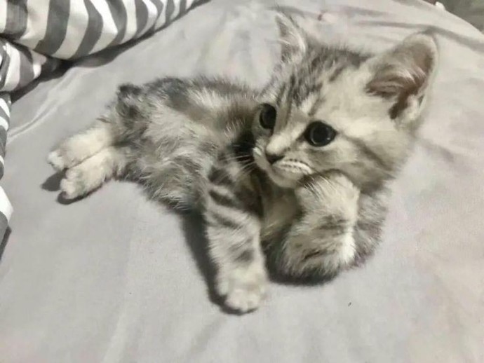 Çekici biri misin?