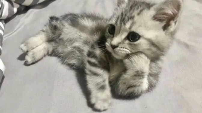Çekici biri misin?