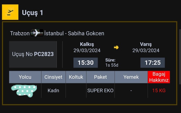 Daha önce uçağa binmiş olanlar yardımcı olabilir mi?