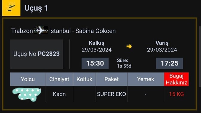 Daha önce uçağa binmiş olanlar yardımcı olabilir mi?