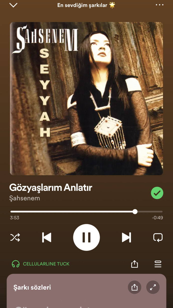 En son dinlediğiniz şarkı nedir?
