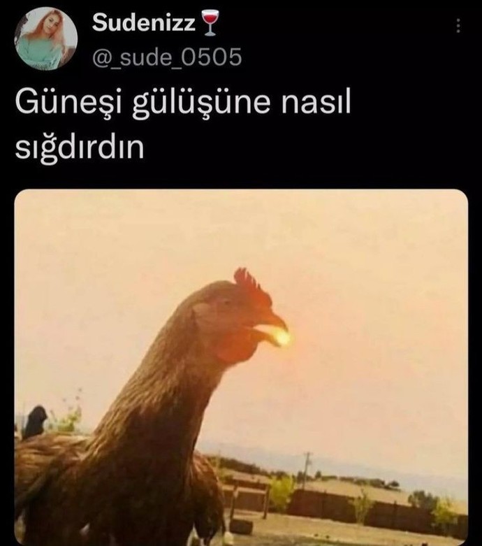 Nörüyonuz beaaa?
