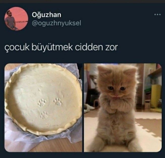 Nörüyonuz beaaa?