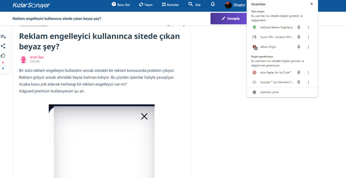 Reklam engelleyici kullanınca sitede çıkan beyaz şey?