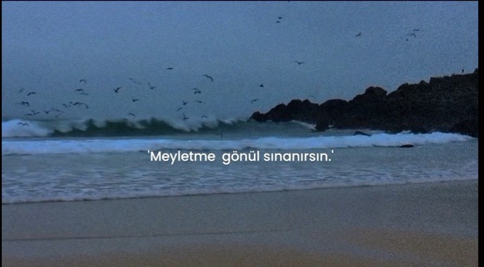 Bir insanın neden hiç sevgilisi olmaz?